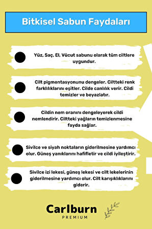 Lüks %100 Doğal Güzel Kokulu El Yüz Saç Vücut Cilt Orijinal Bitkisel Limon Sabunu 120G - 3 Adet