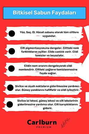 Lüks %100 Doğal Güzel Kokulu El Yüz Saç Vücut Cilt Orijinal Bitkisel Salyangoz Sabunu 120G - 10 Adet