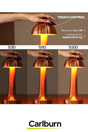 Özel Tasarım 3 Modlu 23 cm x 9 cm Modern Aç/Kapa Butonlu Mantar Dokunmatik LED Masa Lambası