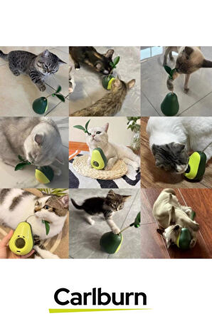 Özel Üretim Döner Mekanizmalı Avokado Şeklinde Kedi Naneli Mama Hazneli Kedi Oyuncağı