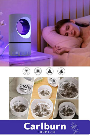 Premium Sessiz Yükseltmiş Güç 6 Uv Işık Elektrikli Uv Sinek Sivrisinek Haşere Öldürücü Lamba