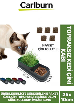 Özel Üretim 5 Adet Kedi Çimi Tohumu Topraksız Kedi Çimi Kabı 25x10cm