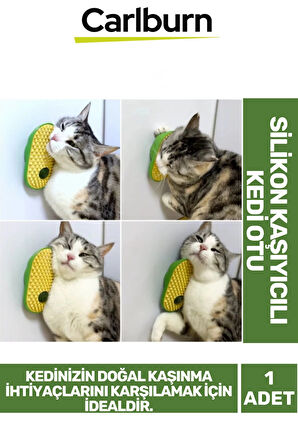 Premium Seri Yumuşak Çıkıntılı Yapı Yapışkanlı Silikon Kaşıyıcılı Kedi Otu