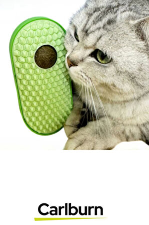 Premium Seri Yumuşak Çıkıntılı Yapı Yapışkanlı Silikon Kaşıyıcılı Kedi Otu