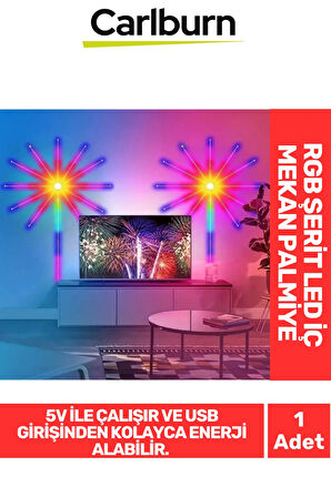 Özel Üretim IP20 Koruma 5V Usb Giriş Yapıştırılabilen RGB Şerit LED İç Mekan Palmiye Aydınlatma