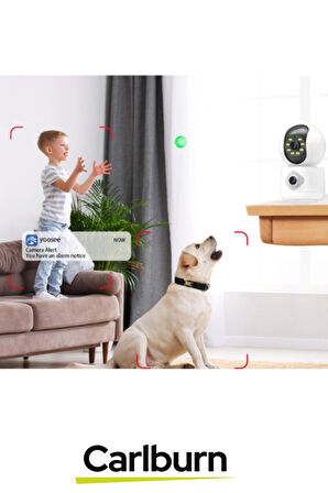 Hareket Algılama Özellikli Çift Yönlü Ses Bulut Depolama 2 MP+2 MP Çift Lensli İç Mekan Wi-Fi Kamera