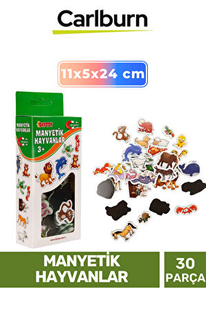 Özel Üretim Eğitici Zeka Geliştirici Öğretici El Göz Koordinasyonu Manyetik Hayvanlar - 30 Parça