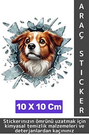 Özel Tasarım Araç Dış Modifiye Eğlenceli Yaratıcı Şık 3D Evcil Hayvan Kedi Köpek Sticker 10 X 10 Cm