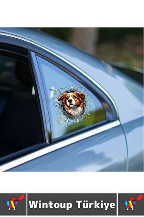 Özel Tasarım Araç Dış Modifiye Eğlenceli Yaratıcı Şık 3D Evcil Hayvan Kedi Köpek Sticker 10 X 10 Cm