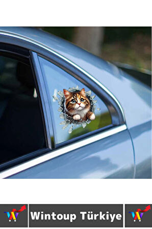 Özel Tasarım Araç Dış Modifiye Eğlenceli Yaratıcı Şık 3D Evcil Hayvan Kedi Köpek Sticker 10 X 10 Cm