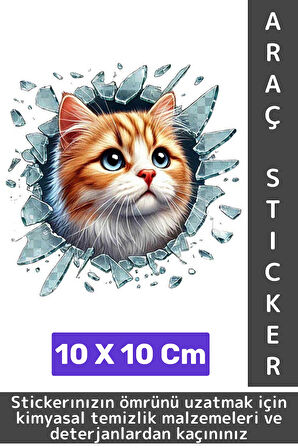 Özel Tasarım Araç Dış Modifiye Eğlenceli Yaratıcı Şık 3D Evcil Hayvan Kedi Köpek Sticker 10 X 10 Cm