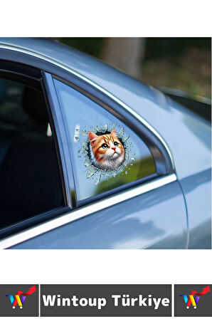 Özel Tasarım Araç Dış Modifiye Eğlenceli Yaratıcı Şık 3D Evcil Hayvan Kedi Köpek Sticker 10 X 10 Cm