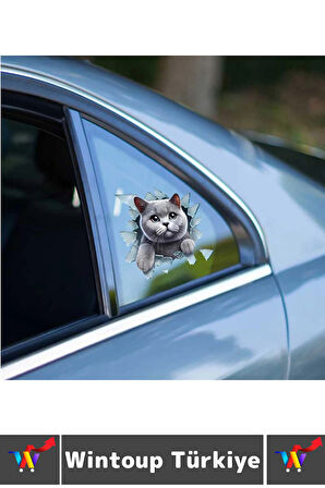 Özel Tasarım Araç Dış Modifiye Eğlenceli Yaratıcı Şık 3D Evcil Hayvan Kedi Köpek Sticker 10 X 10 Cm