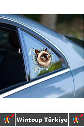 Özel Tasarım Araç Dış Modifiye Eğlenceli Yaratıcı Şık 3D Evcil Hayvan Kedi Köpek Sticker 10 X 10 Cm