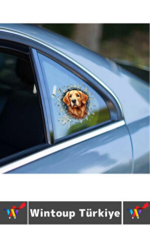 Özel Tasarım Araç Dış Modifiye Eğlenceli Yaratıcı Şık 3D Evcil Hayvan Kedi Köpek Sticker 10 X 10 Cm