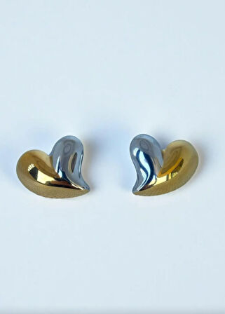 Altın Ve Gümüş Renk Kalp Figürlü  Küpe (Çift) 