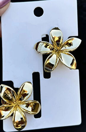 2'li Altın Renk Lotus Pens Toka Set