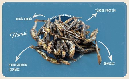 Hamsi Balık %100 Doğal Çiğnemelik Köpek Ödül Maması 100 gr