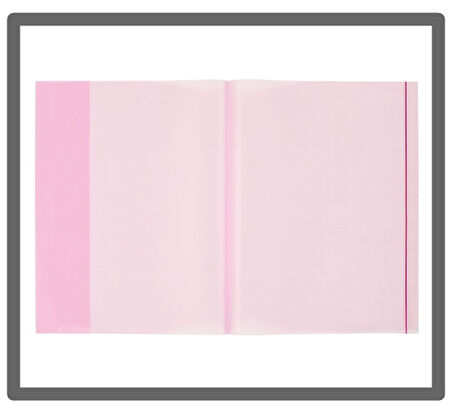 Bigpoint A4 Hazır Defter Kabı 5li Paket Şeffaf Kırmızı - 3 paket
