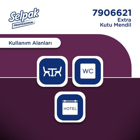 Selpak Professional Extra Kutu Mendil 21 x 18 cm 80 Yaprak x 24 Adet