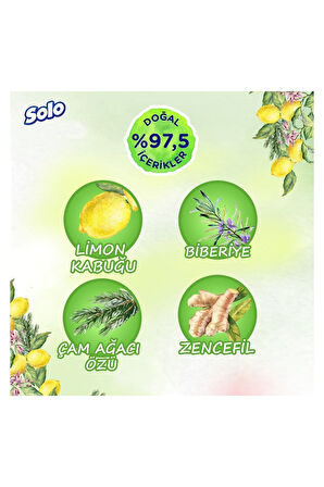 Solo Doğal Hijyen Limon&biberiye Islak Mendil 12'li 600 Yaprak