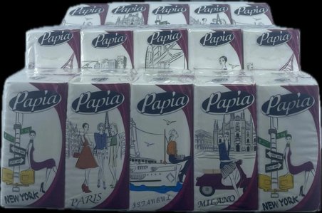 PAPİA CEP MENDİL 10 LU 3 PAKET