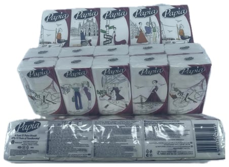 PAPİA CEP MENDİL 10 LU 3 PAKET