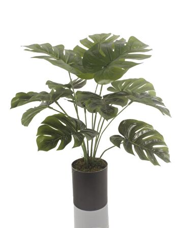 Yapay Çiçek Monstera Deve Tabanı Siyah Saksılı Salon Çiçeği 12 Yaprak