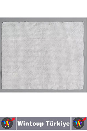 Gündelik Cep Çanta Boy Ofis Seyahat Hijyenik Tek Kullanım Suda Büyüyen Sıkıştırılmış Mendil 60 Adet