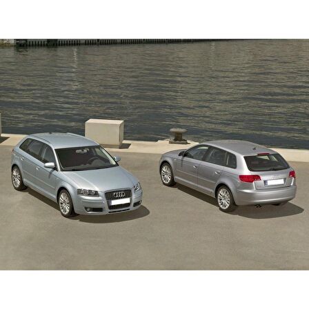 Audi A3 Sportback 2004-2008 Arka Bagaj Amortisörü Pistonu 8P4827552B