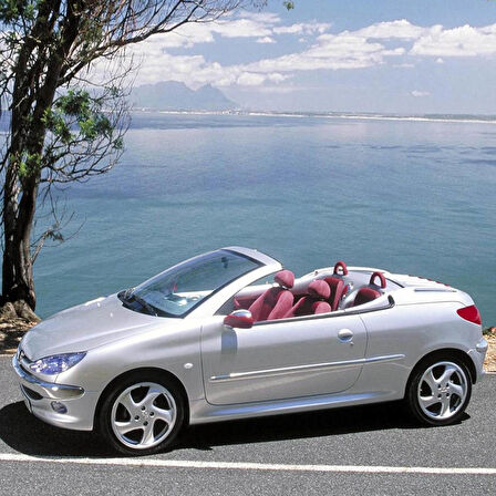 Peugeot 206 CC Coupe Cabrio 2001-2007 Ön Cam Silecek Takımı 65x40cm