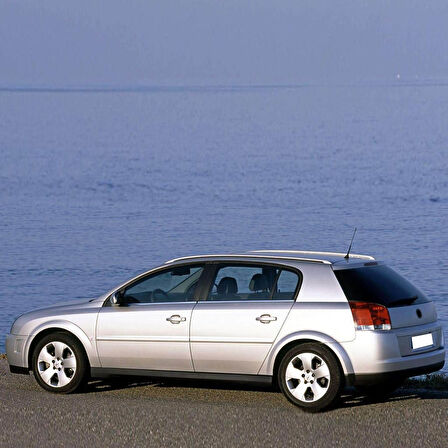 Opel Signum 2002-2008 Arka Bagaj Kapağı Amortisörü Pistonu 1 adet