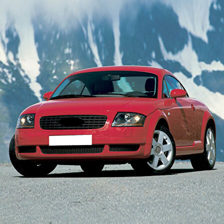 Audi TT 1999-2006 Motor Kaputu Amortisörü Pistonu 8N0823359