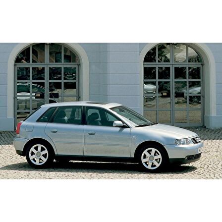 Audi A3 Sportback 2001-2003 Arka Bagaj Amortisörü Pistonu 8D9827552H