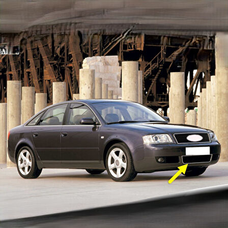 Audi A6 2002-2004 Ön Tampon Orta Izgara Kromlu 4B0807683L