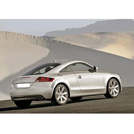 Audi TT 2007-2014 Otomatik Vites Fren Pedalı Lastiği 1K0723173B