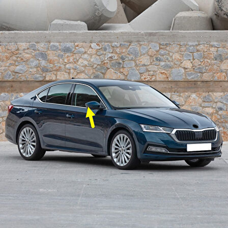 Skoda Octavia 4 2021-2024 Sağ Dış Ayna Sinyal Lambası 5E3949102