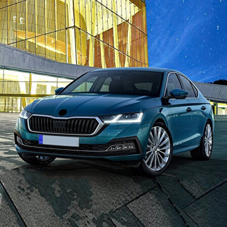 Skoda Octavia 2020-2024 Freciousplus Klima Polen Filtresi 5Q0819669