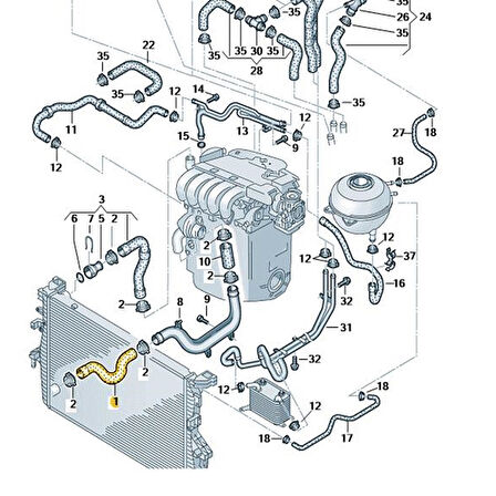 VW Transporter T5 2004-2009 2.5 AXD Radyatör Alt Hortumu 7H0121051D