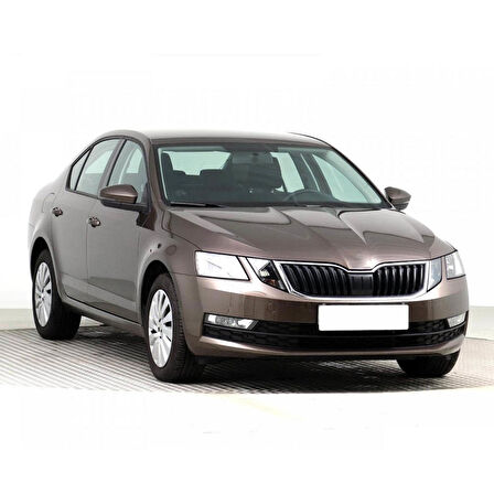 Skoda Octavia 3 2017-2020 Ayak Bölmesi Aydınlatma Lambası 6L0947415A