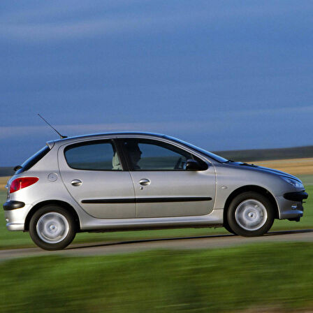 Peugeot 206 HB 1998-2010 Arka Bagaj Amortisörü Pistonu 8731.E6