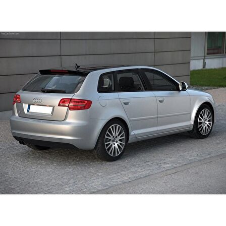 Audi A3 Sportback 2009-2012 Arka Bagaj Amortisörü Pistonu 8P4827552B