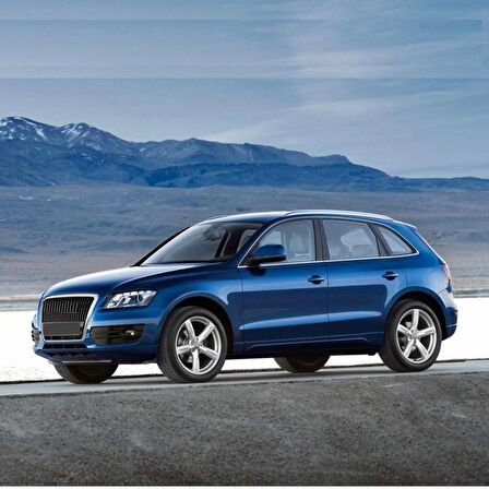 Audi Q5 2009-2017 Sağ Ön Kapı Cam Düğmesi Krom 8K0959855B