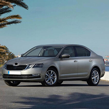 Skoda Octavia 2017-2020 Ön Viraj Demir Lastiği Takımı 22mm 5Q0411303S