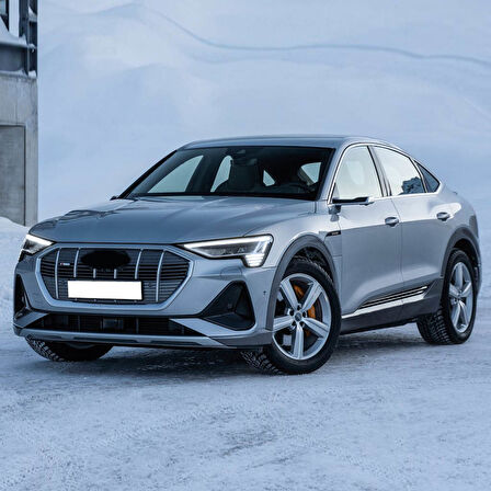 Audi E-Tron 2020-2024 Sol Ön Kapı Cam Düğme Takımı Krom 4K0959851C