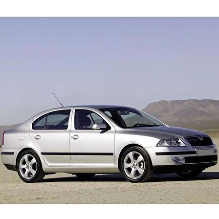 Skoda Octavia 2 A5 2005-2008 Sağ Ön Kapı Cam Düğmesi 1Z0959856