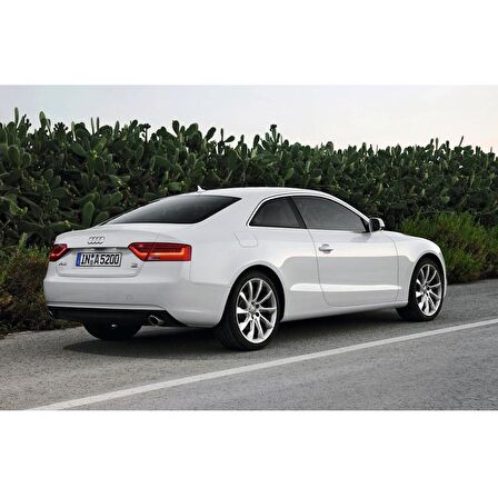 Audi A5 Coupe 2012-2016 Arka Bagaj Kapağı Amortisörü Pistonu 8T0827919