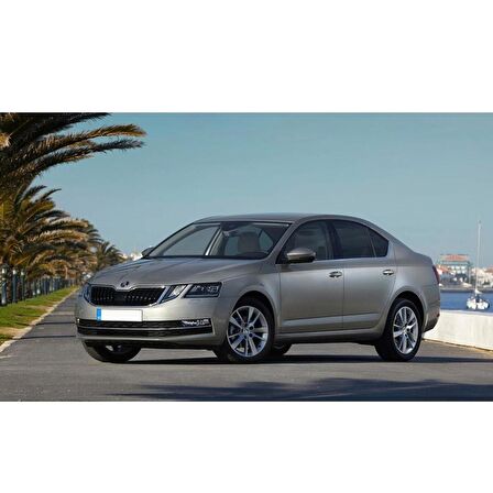 Skoda Octavia 3 2013-2020 Sağ Arka Dış Kapı Kolu Kapağı 5G0839168
