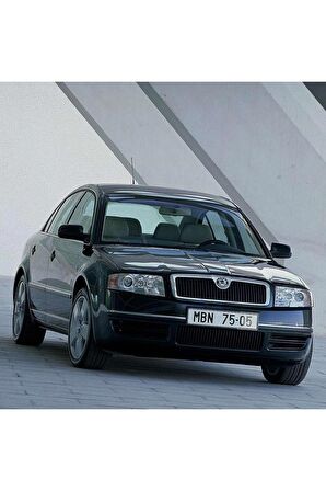 Skoda Superb Mk1 2002-2008 Uyumlu Ön Arka Sağ Sol Dış Kapı Açma Kolu Kapağı Bademi 3b4839879a