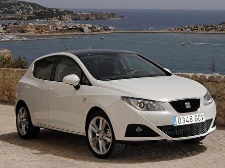 Seat İbiza 2009-2017 Ön Cam Silecek Kolu Vida Kapağı 1J0955205A